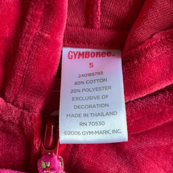 NWT Gymboree girls velour set, sequence and embroidery embellishments, size 5 - Picture 6 of 6